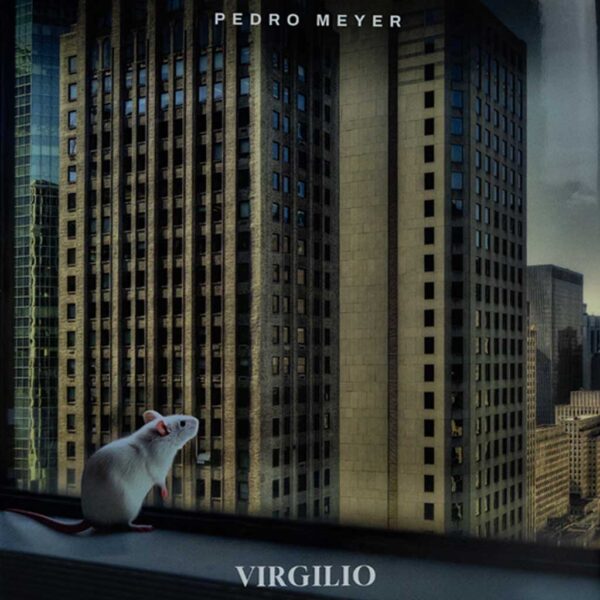 Virgilio - Image 4