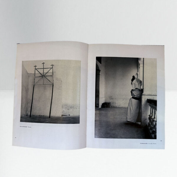 La raíz y el camino - Image 4